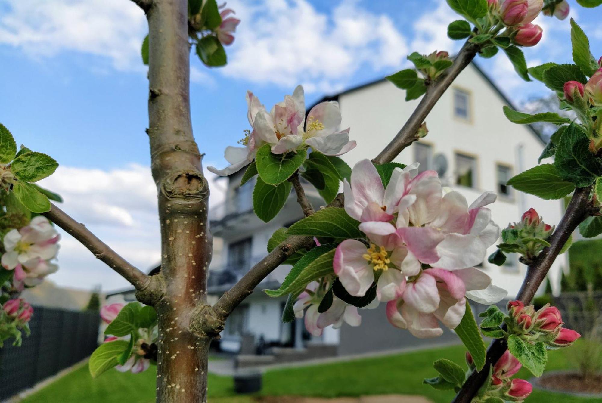 Kleine Auszeit Apartment Кохем Екстериор снимка