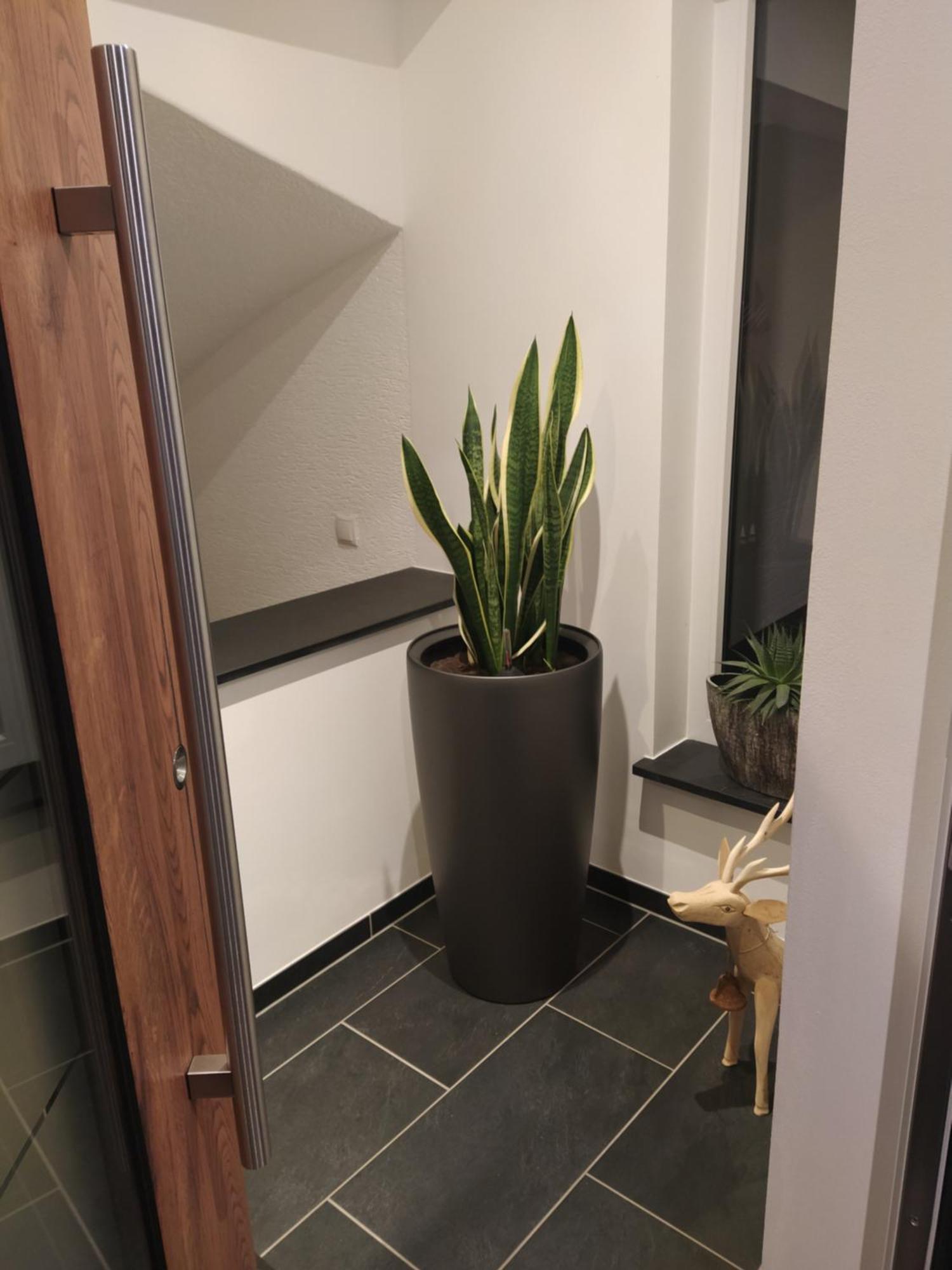 Kleine Auszeit Apartment Кохем Екстериор снимка